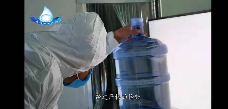 公司企業(yè)組織架構(gòu)圖.png 公司企業(yè)組織架構(gòu)圖.png