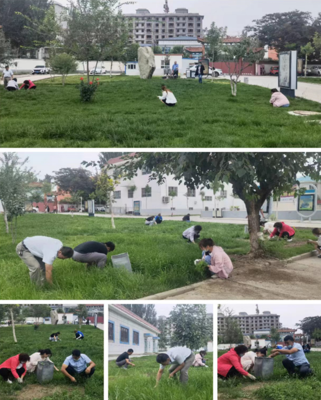 圖片1.png 圖片1.png