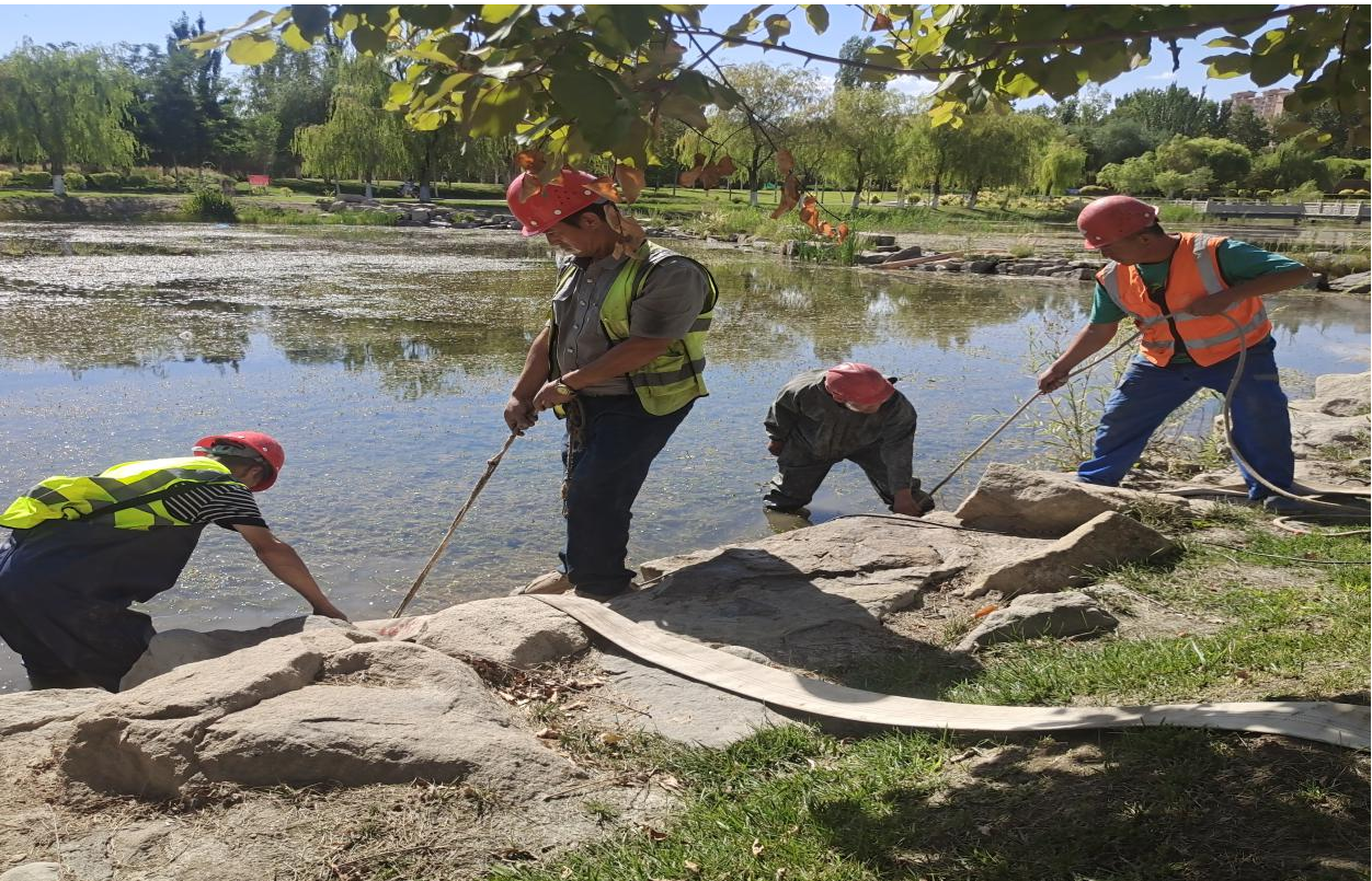 8月11日2.png 8月11日2.png